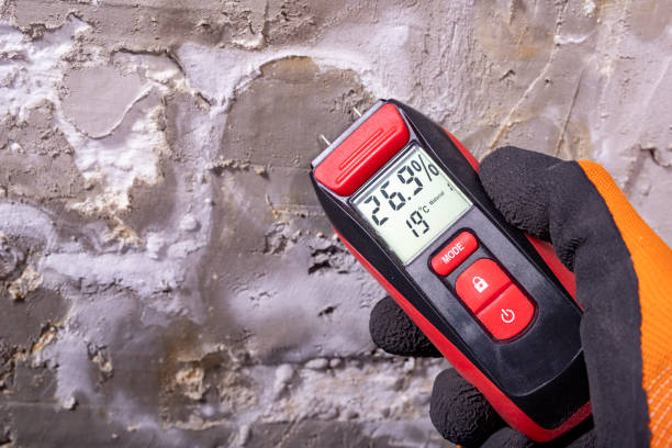Best Black Mold Removal  in Atlanta, IL