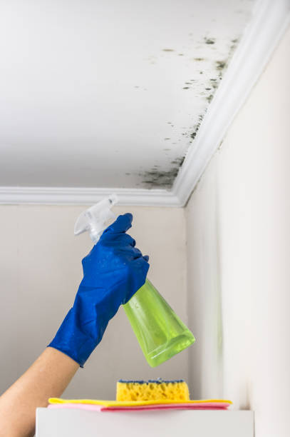 Water Damage Restoration in Atlanta, IL